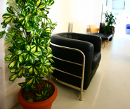 Office Moves